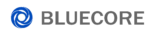 Bluecore Networks